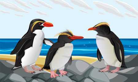 A cartoon illustration of an adorable penguin standing on a beachのイラスト素材