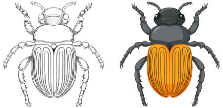 Scarab Beetle Outline for Colouring illustrationのイラスト素材