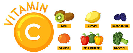 Illustrated vector image of vitamin C-rich fruits and vegetablesのイラスト素材
