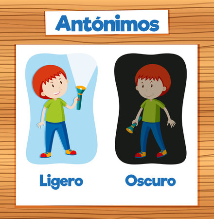 A colorful vector illustration of a Spanish word card featuring the antonyms 'Ligero' and 'Oscuro'のイラスト素材