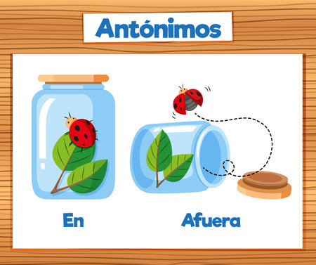 Illustrated word card featuring antonyms in Spanish: En and Afueraのイラスト素材