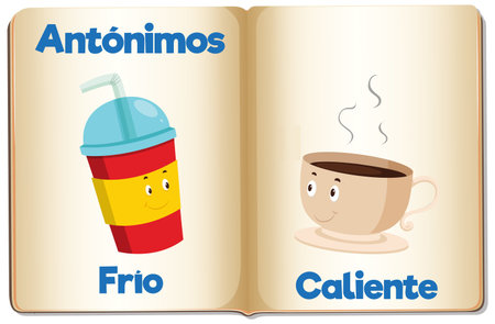 Illustrated picture word cards in Spanish for learning antonymsのイラスト素材