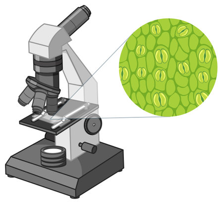 A vector cartoon illustration of Spanish antonyms means new and oldのイラスト素材