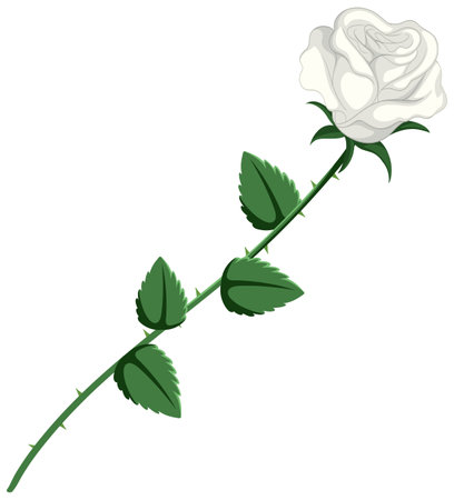 A minimalistic vector illustration of a white roseのイラスト素材