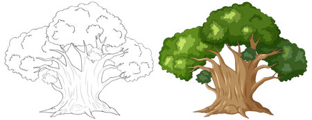 Illustration of a tree, from line art to coloredのイラスト素材