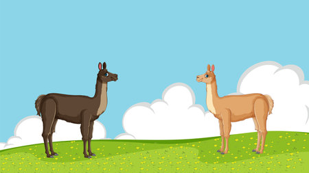 Two llamas standing in a field with blue skyのイラスト素材