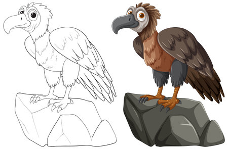 Color and outline of a vulture perched on a rockのイラスト素材