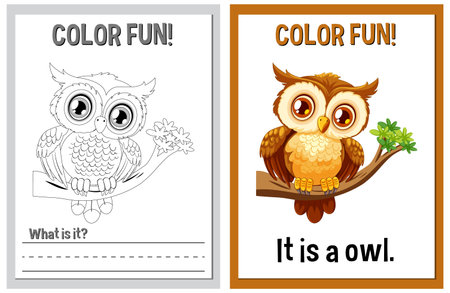 Coloring book page and colored owl illustrationのイラスト素材
