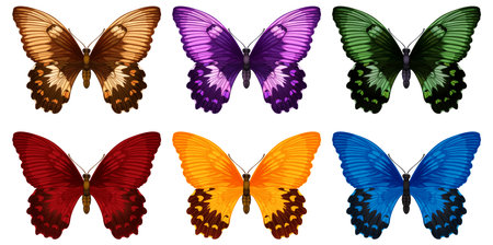 Eight vibrant butterflies in various colorsのイラスト素材