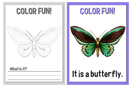 Coloring and learning activity with butterfly themeのイラスト素材