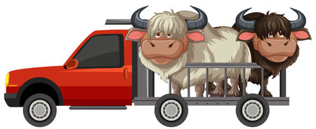 Two yaks transported in a small truckのイラスト素材