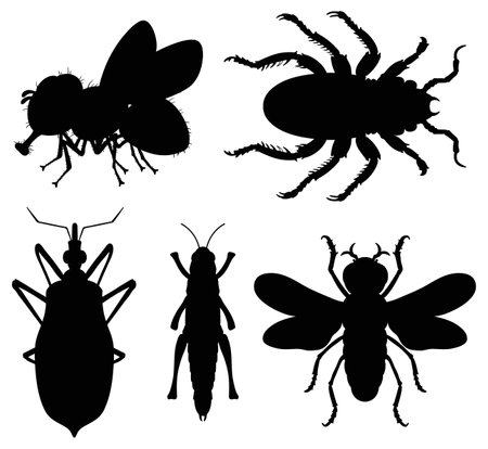 Black silhouettes of five different insectsのイラスト素材