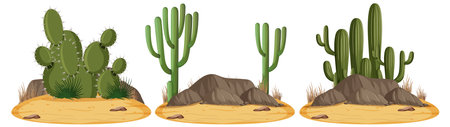 Three types of cacti on arid groundのイラスト素材