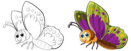 Vector illustration of a butterfly, from sketch to colorのイラスト素材