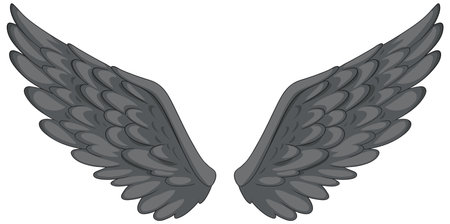 Vector illustration of symmetrical grey wingsのイラスト素材