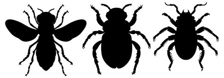 Three black insect silhouettes on a white backgroundのイラスト素材