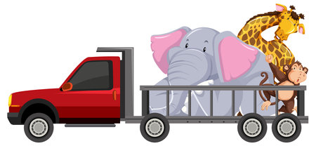 Colorful vector of diverse animals in a vehicleのイラスト素材