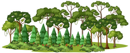 Dense forest with various types of treesのイラスト素材