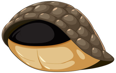 Adorable armadillo curled up in a ballのイラスト素材