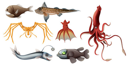 Various deep sea creatures in vector formatのイラスト素材