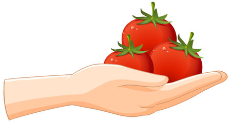 A hand holding three ripe tomatoesのイラスト素材