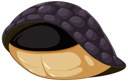 Vector illustration of an armadillo shellのイラスト素材