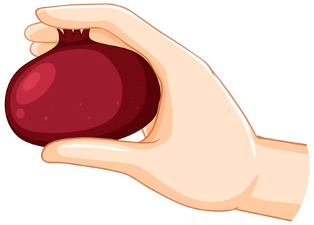 Illustration of a hand holding a pomegranateのイラスト素材
