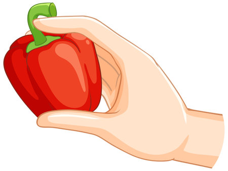 Illustration of a hand holding a red pepperのイラスト素材