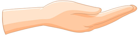 Vector image of an open handのイラスト素材