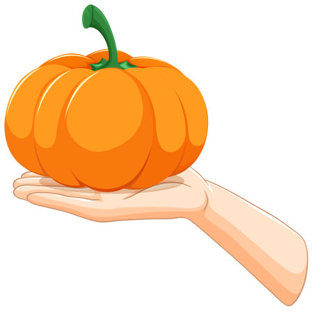 A hand gently holds a bright orange pumpkinのイラスト素材