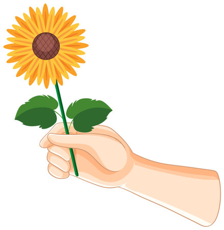 Illustration of a hand holding a sunflowerのイラスト素材
