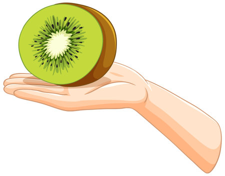 Illustration of a hand holding a kiwi sliceのイラスト素材