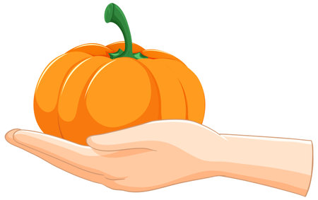 A hand gently holds an orange pumpkinのイラスト素材