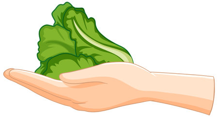 Illustration of a hand holding green lettuceのイラスト素材