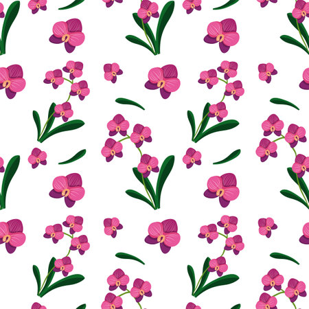 Pink orchids with green leaves on white backgroundのイラスト素材