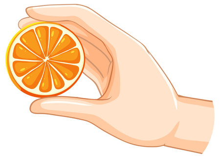 Illustration of a hand with an orange sliceのイラスト素材