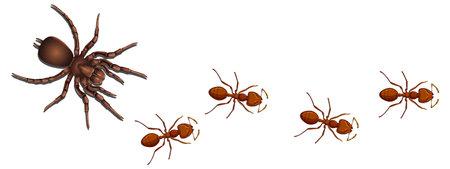 Illustration of ants and a spider togetherのイラスト素材