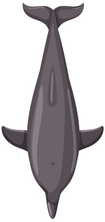 Vector illustration of a dolphin from aboveのイラスト素材