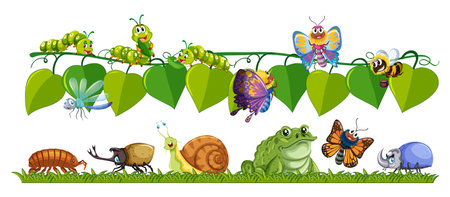 Vibrant insects and animals on green leavesのイラスト素材