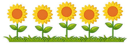 Five sunflowers aligned in a cheerful patternのイラスト素材