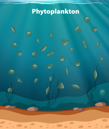 Colorful depiction of diverse marine phytoplankton speciesのイラスト素材