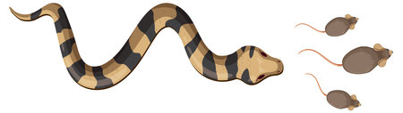 Illustration of a snake approaching three miceのイラスト素材