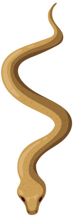 A detailed vector illustration of a snake