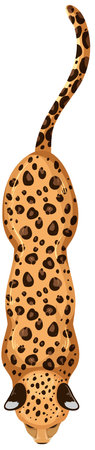 Leopard depicted from above with detailed spotsのイラスト素材