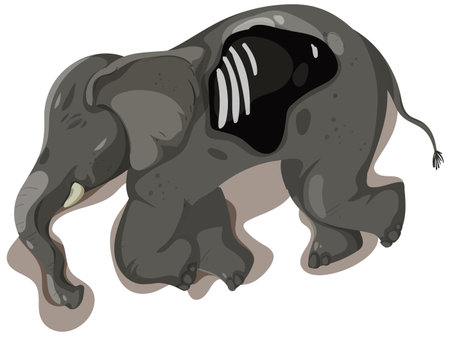 Illustration of an elephant from a top viewのイラスト素材