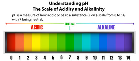Illustration of pH scale from 0 to 14のイラスト素材