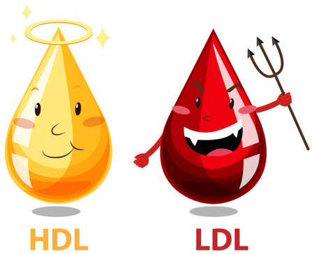 Illustration of HDL and LDL cholesterol dropletsのイラスト素材