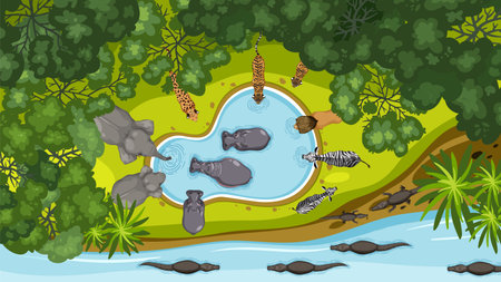 Animals gather around a waterhole in the jungleのイラスト素材