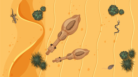 Top view of desert animals and plantsのイラスト素材