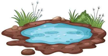 A tranquil pond illustration featuring clear water, rocks, and lush greenery. Ideal for nature-themed designs and educational materialsのイラスト素材
